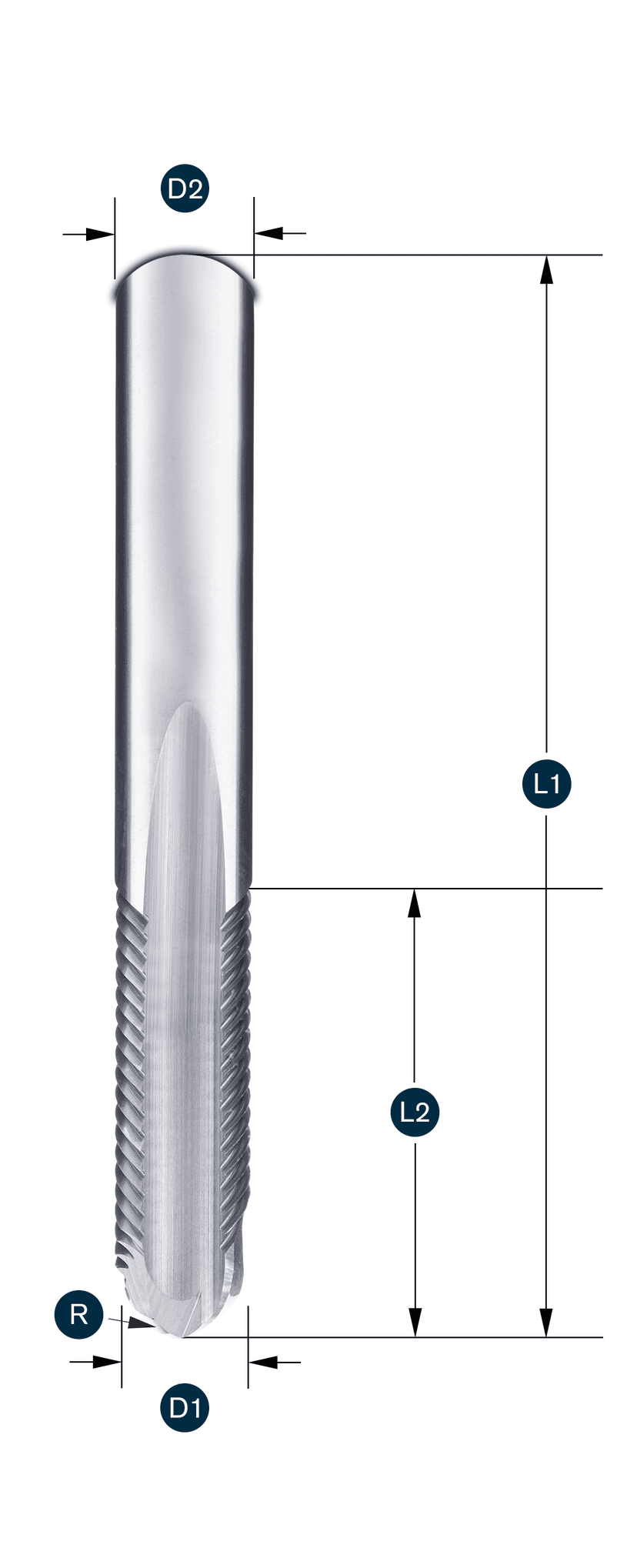 Doublecut Z1+1 · rechtsschneidend · mit Vollradius